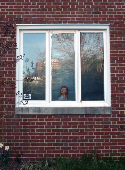 Window - Crowther Lane